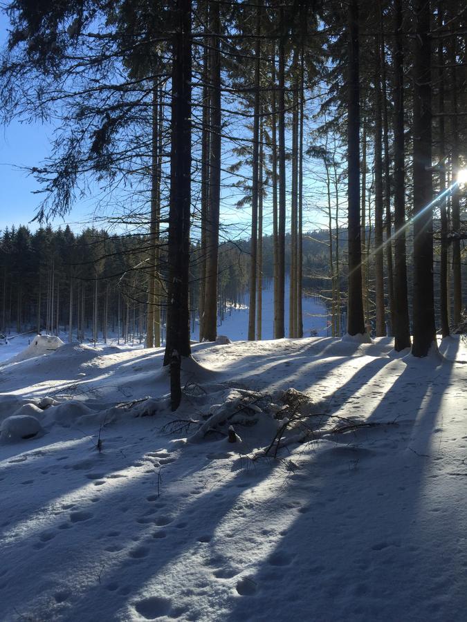 Apartmany Sportrelax Albrechtice v Jizerskych horach Eksteriør billede